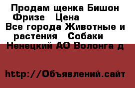 Продам щенка Бишон Фризе › Цена ­ 30 000 - Все города Животные и растения » Собаки   . Ненецкий АО,Волонга д.